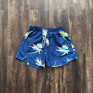 Men’s Chubbies Swim Trunks